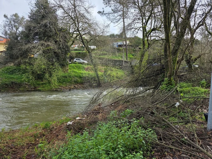 Terreno para Venda em Milheiros Foto 10