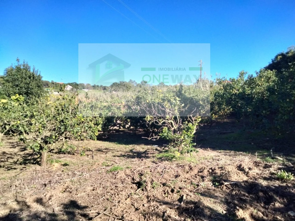 Terreno Misto para Venda em Mafra Foto 4