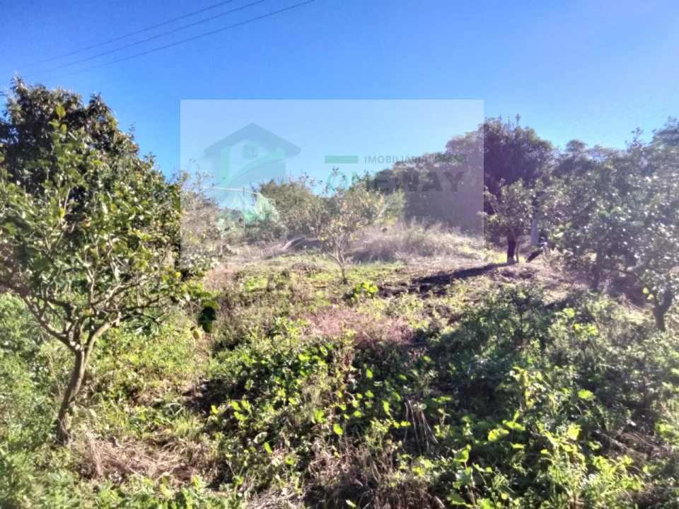 Terreno Misto para Venda em Mafra Foto 8