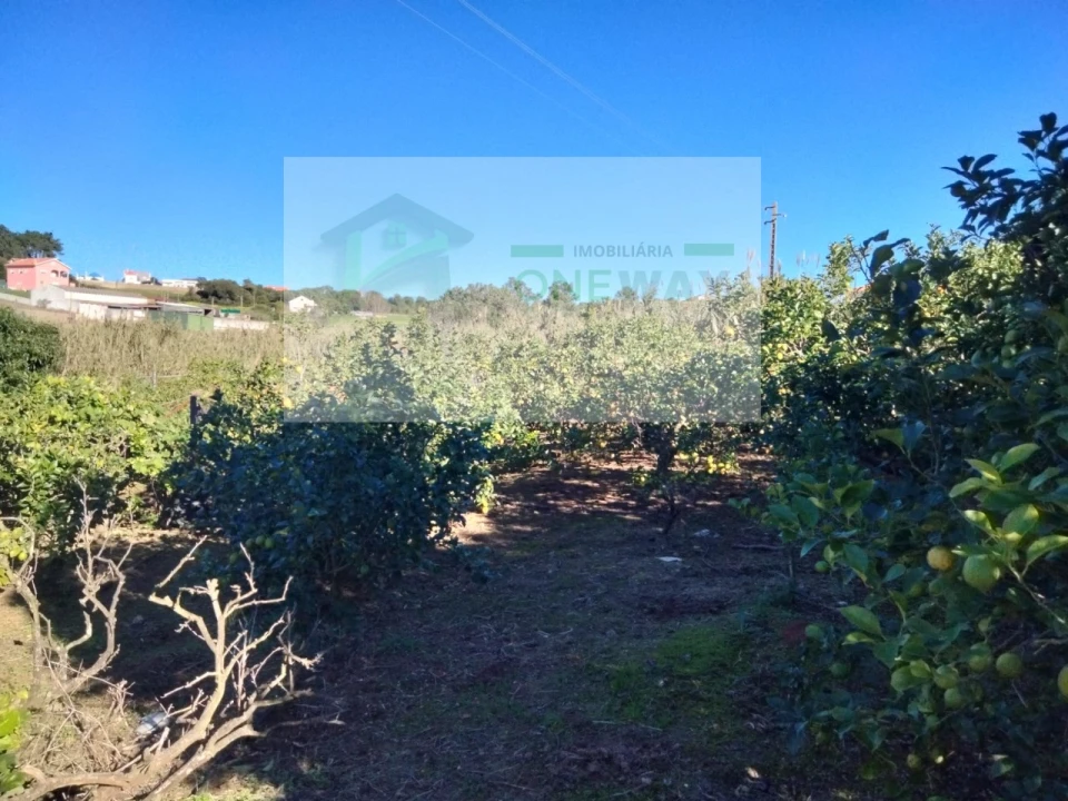 Terreno Misto para Venda em Mafra Foto 10