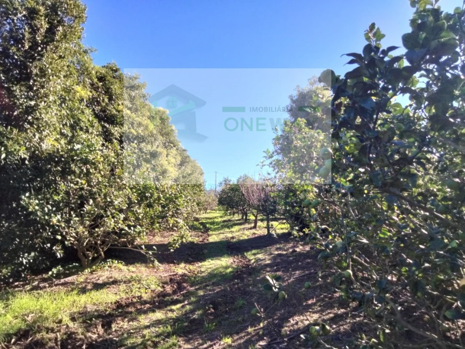 Terreno Misto para Venda em Mafra Foto 11