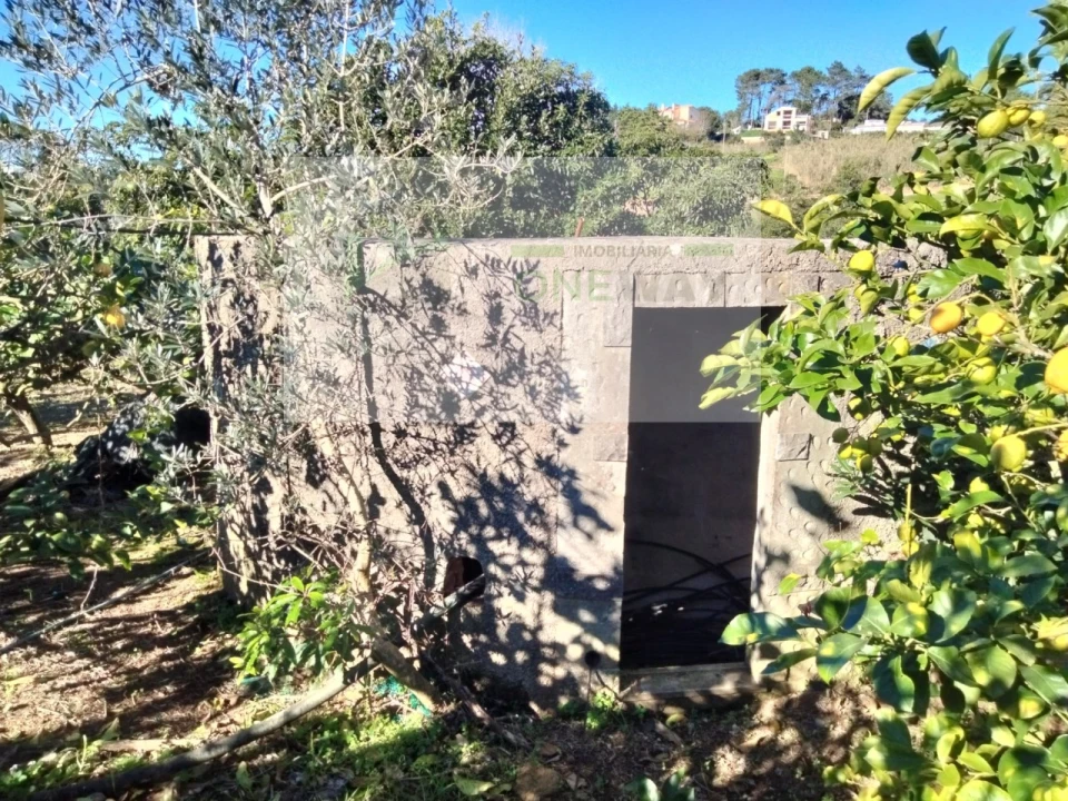 Terreno Misto para Venda em Mafra Foto 12