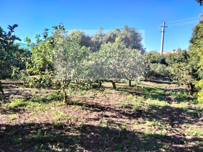 Terreno Misto para Venda em Mafra Foto 2