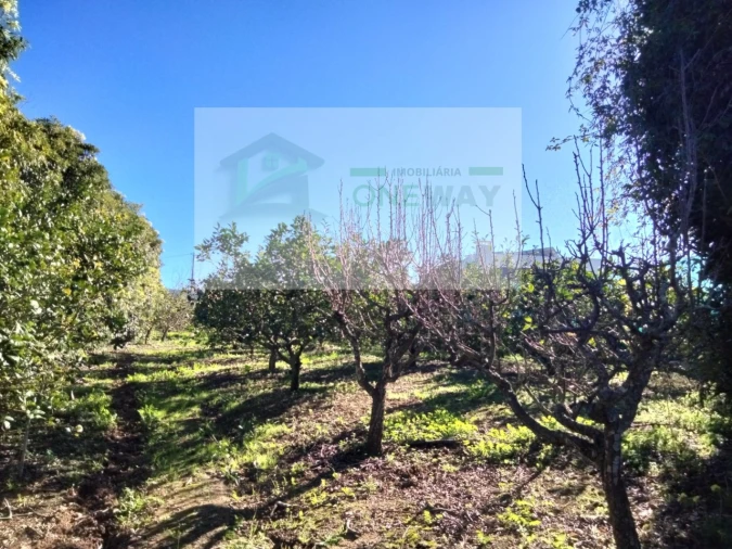 Terreno Misto para Venda em Mafra Foto 3