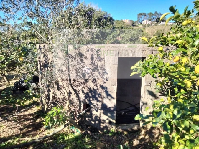Terreno Misto para Venda em Mafra Foto 12