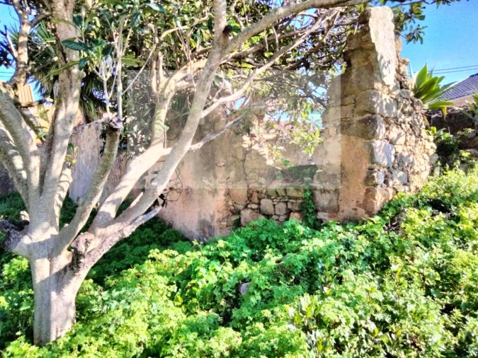 Moradia para Venda em Mafra Foto 9