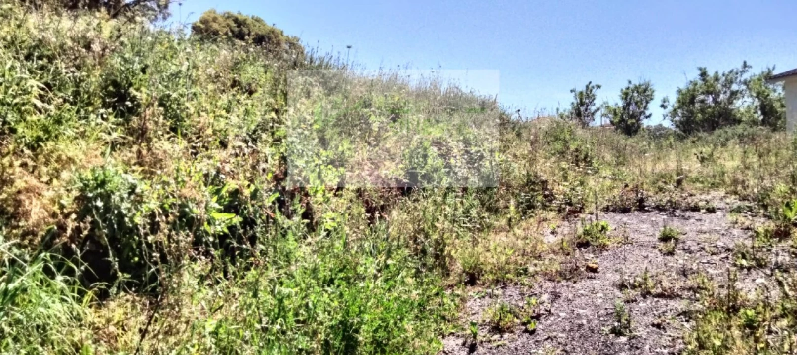 Terreno para Venda em Mafra Foto 11