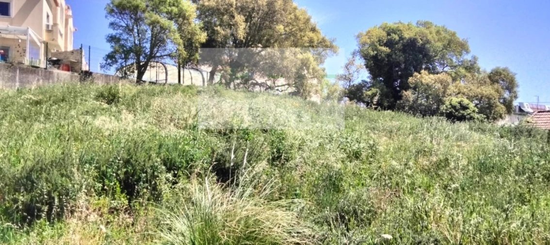 Terreno para Venda em Mafra Foto 12
