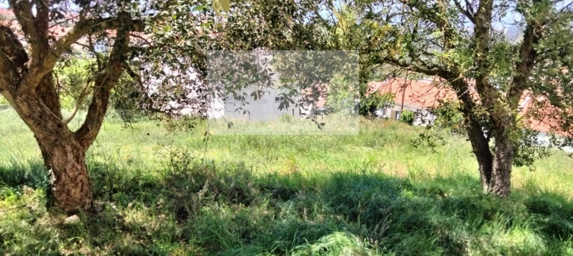 Terreno para Venda em Mafra Foto 14