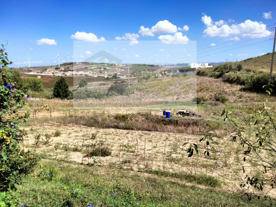 Moradia T4 para Venda em Freiria Foto 23