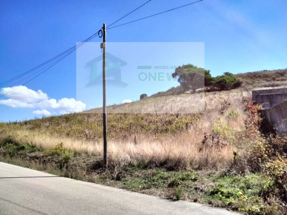 Terreno para Venda em Freiria Foto 2