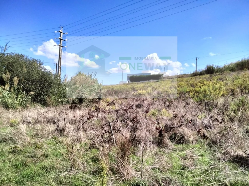 Terreno para Venda em Freiria Foto 7
