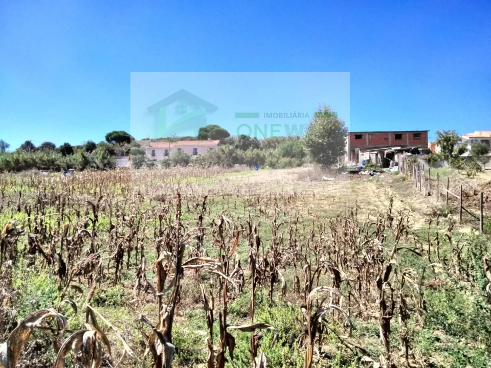 Terreno para Venda em Freiria Foto 8