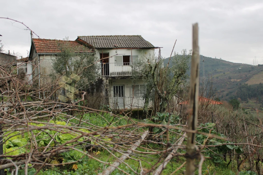 Moradia T2 para Venda em Loivos da Ribeira e Tresouras Foto 2