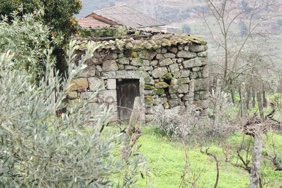 Moradia T2 para Venda em Loivos da Ribeira e Tresouras Foto 12