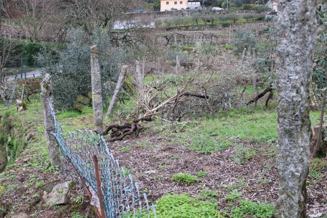Moradia T2 para Venda em Loivos da Ribeira e Tresouras Foto 17