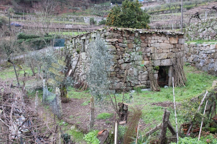 Moradia T2 para Venda em Loivos da Ribeira e Tresouras Foto 13