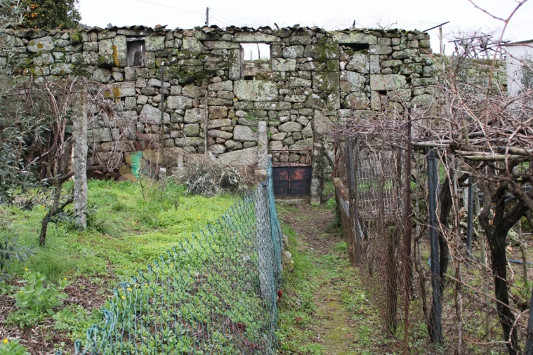 Moradia T2 para Venda em Loivos da Ribeira e Tresouras Foto 15