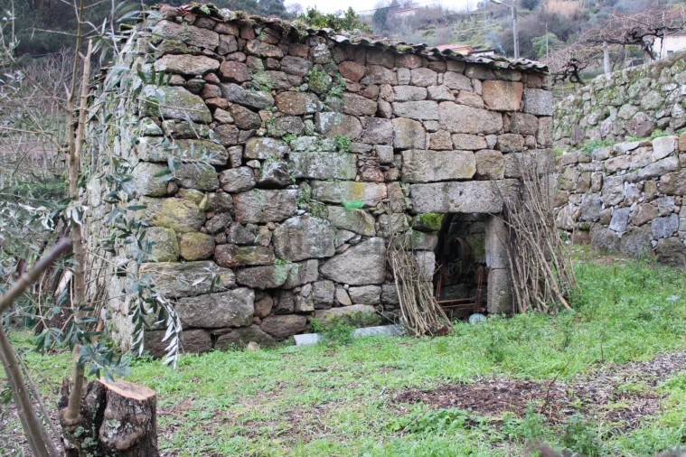 Moradia T2 para Venda em Loivos da Ribeira e Tresouras Foto 16