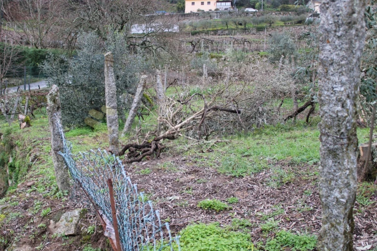 Moradia T2 para Venda em Loivos da Ribeira e Tresouras Foto 17