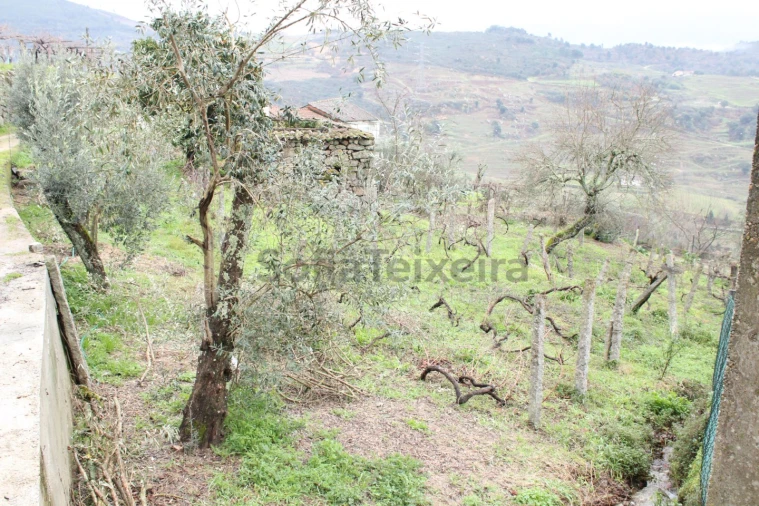 Moradia T2 para Venda em Loivos da Ribeira e Tresouras Foto 20