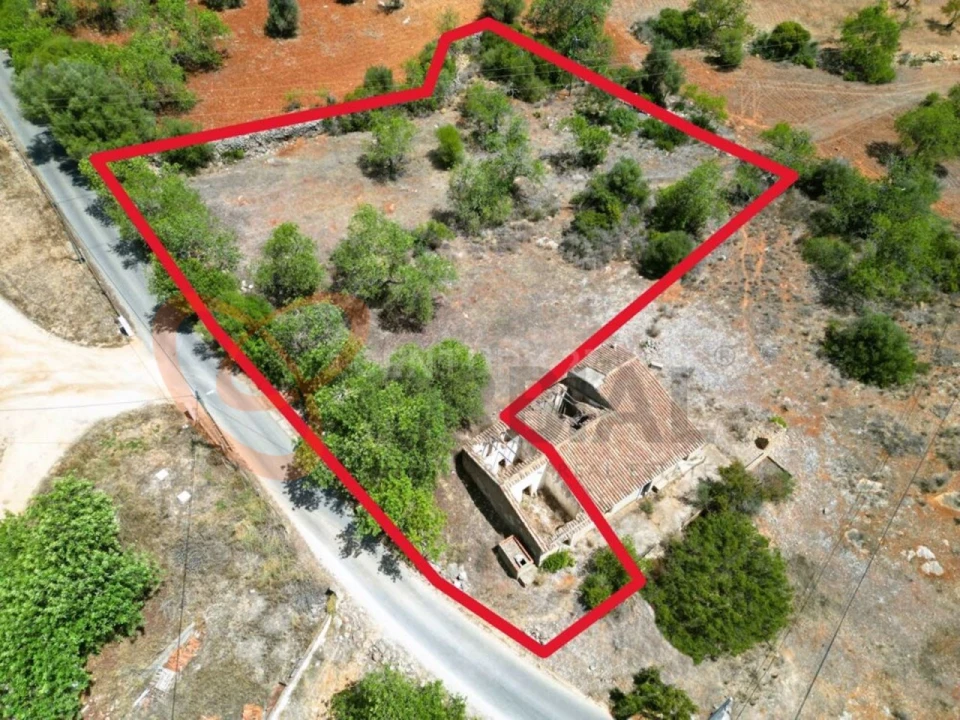 Terreno para Venda em Ferreiras Foto 12