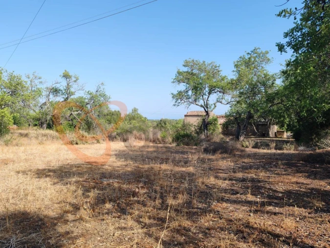 Terreno para Venda em Ferreiras Foto 15