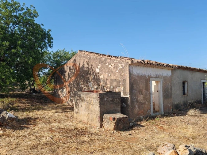 Terreno para Venda em Ferreiras Foto 14