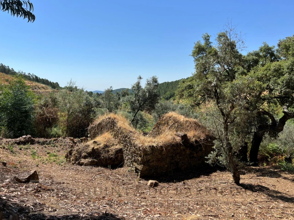 Quinta T3 para Venda em Alegrete Foto 8