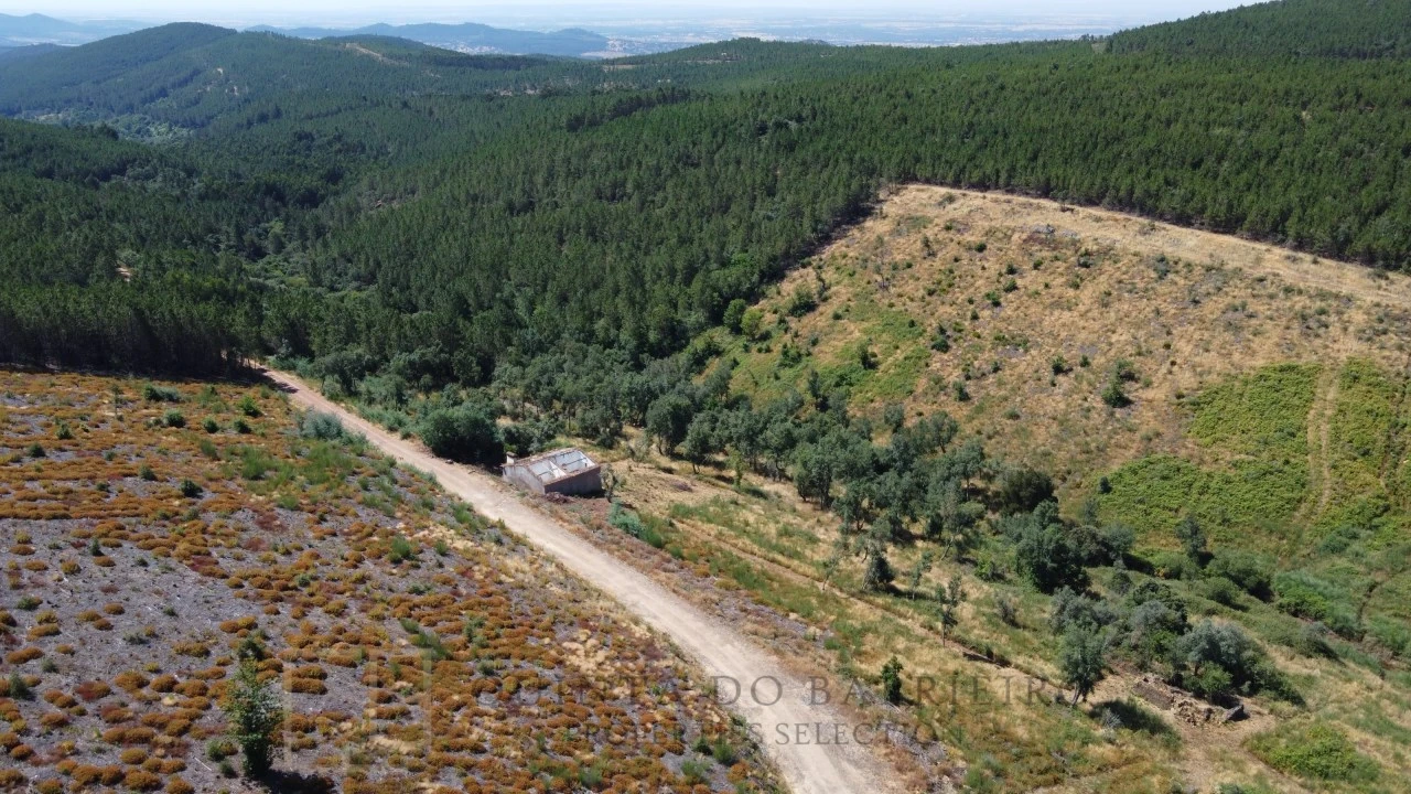 Quinta T3 para Venda em Alegrete Foto 12