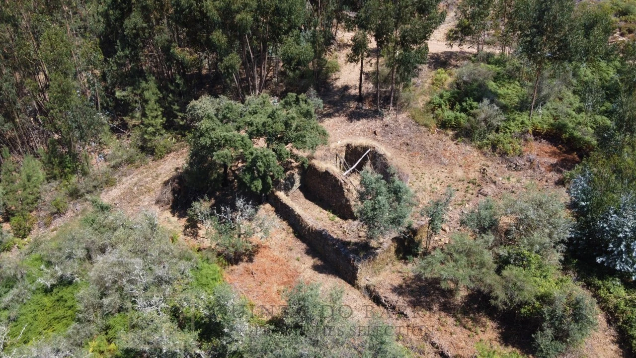 Quinta T3 para Venda em Alegrete Foto 18