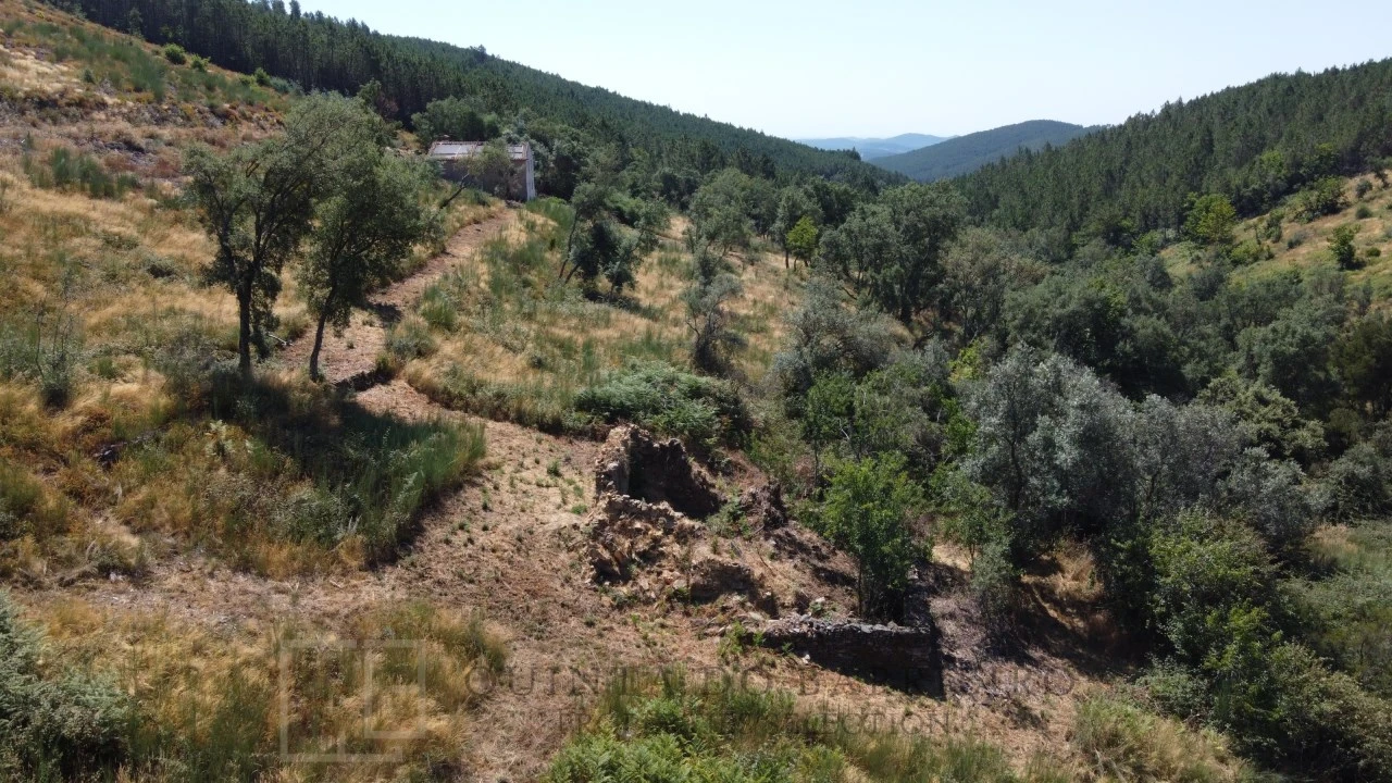 Quinta T3 para Venda em Alegrete Foto 20