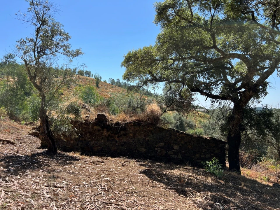 Quinta T3 para Venda em Alegrete Foto 22