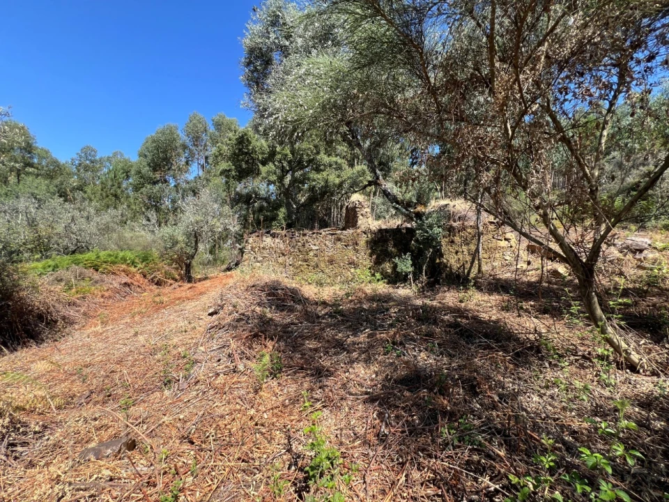 Quinta T3 para Venda em Alegrete Foto 23