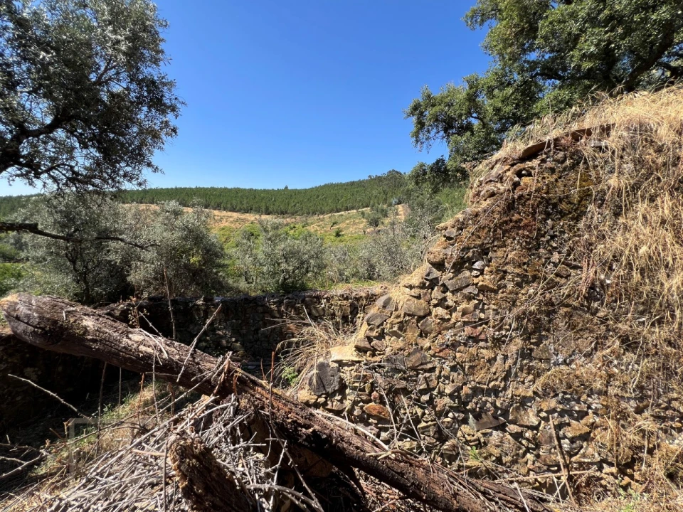 Quinta T3 para Venda em Alegrete Foto 27