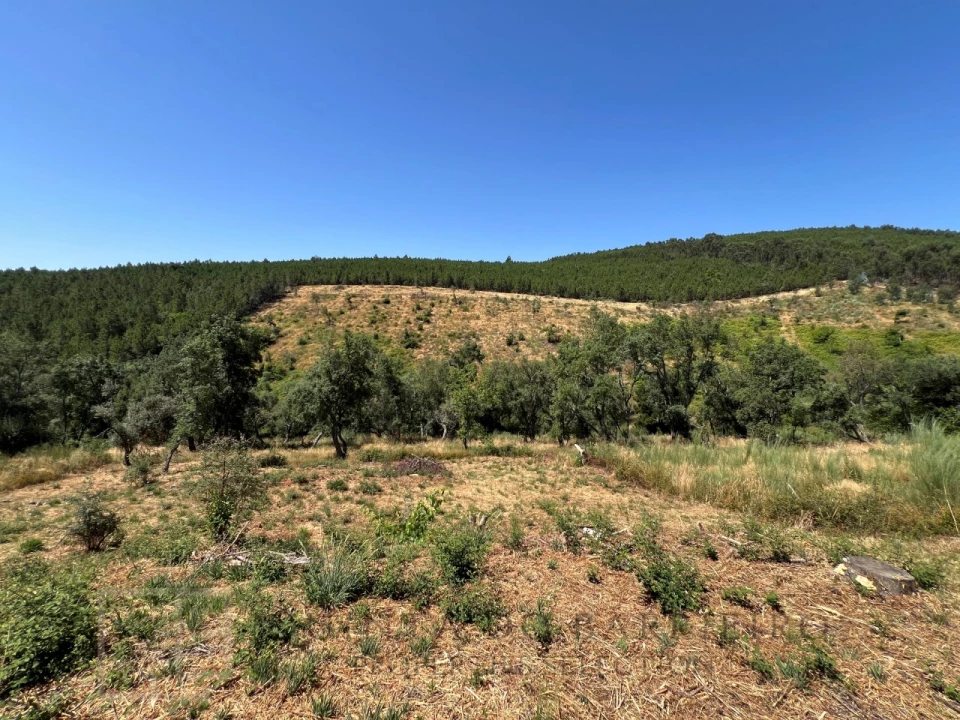 Quinta T3 para Venda em Alegrete Foto 45