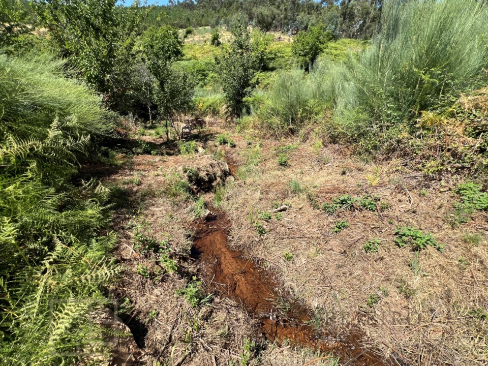 Quinta T3 para Venda em Alegrete Foto 47