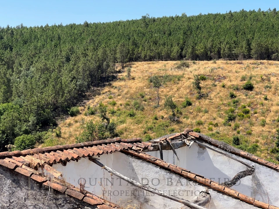 Quinta T3 para Venda em Alegrete Foto 49