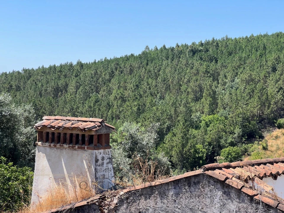 Quinta T3 para Venda em Alegrete Foto 50