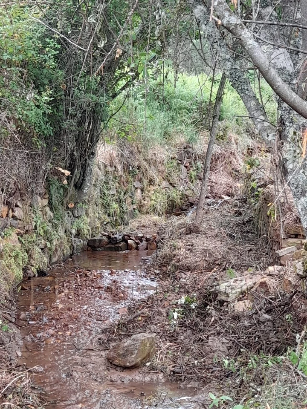 Quinta T3 para Venda em Alegrete Foto 51