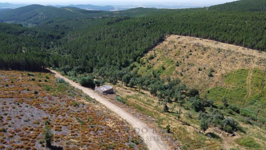 Quinta T3 para Venda em Alegrete Foto 12