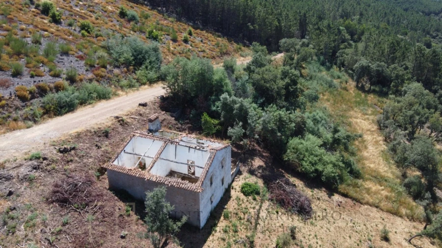 Quinta T3 para Venda em Alegrete Foto 17