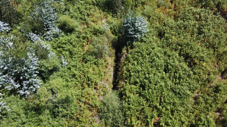 Quinta T3 para Venda em Alegrete Foto 21