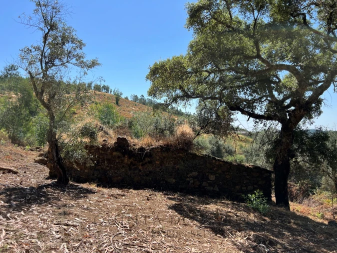 Quinta T3 para Venda em Alegrete Foto 22