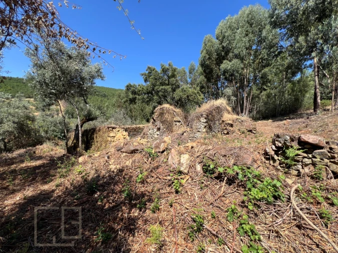 Quinta T3 para Venda em Alegrete Foto 24