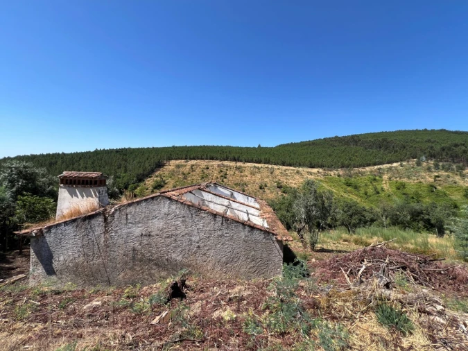 Quinta T3 para Venda em Alegrete Foto 29