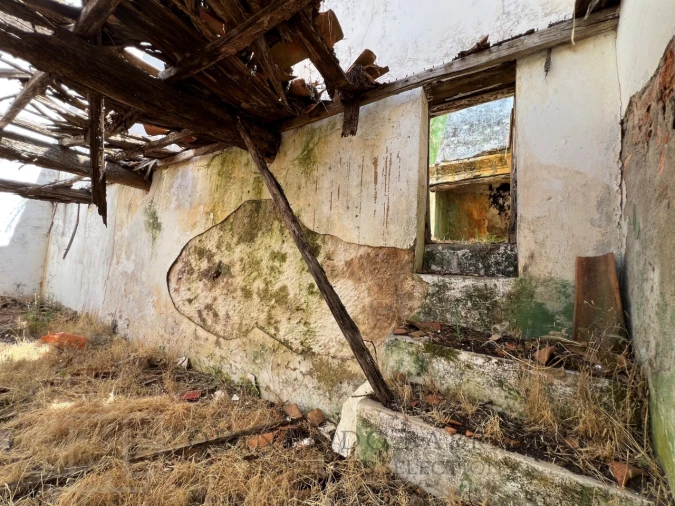 Quinta T3 para Venda em Alegrete Foto 36