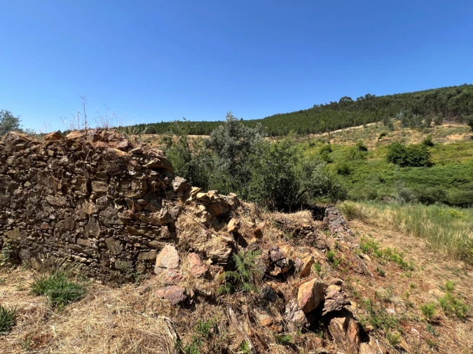 Quinta T3 para Venda em Alegrete Foto 41