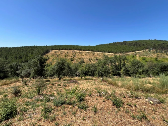 Quinta T3 para Venda em Alegrete Foto 45