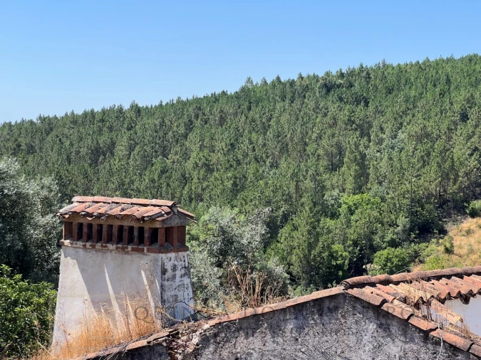 Quinta T3 para Venda em Alegrete Foto 50